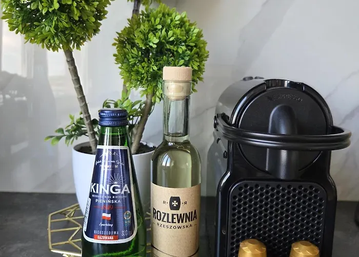 Strefa Zen Centrum Miasta - Podwislocze 40 公寓 热舒夫